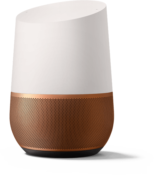 Google Home AI